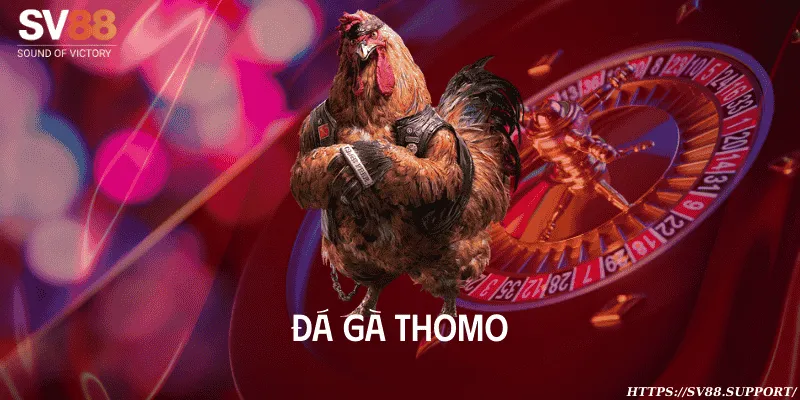 Đá gà Thomo